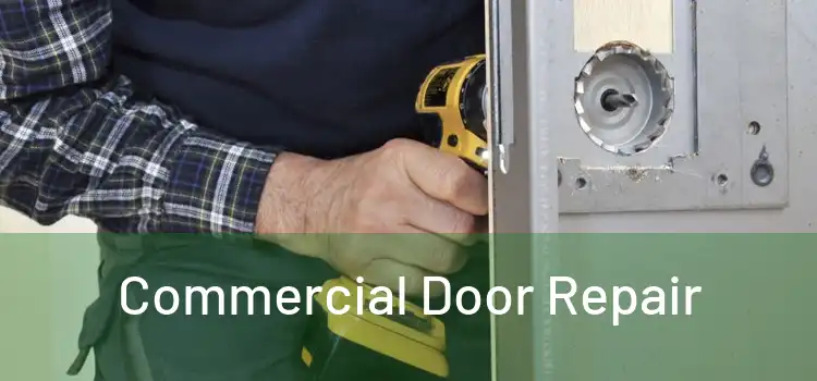 Commercial Door Repair